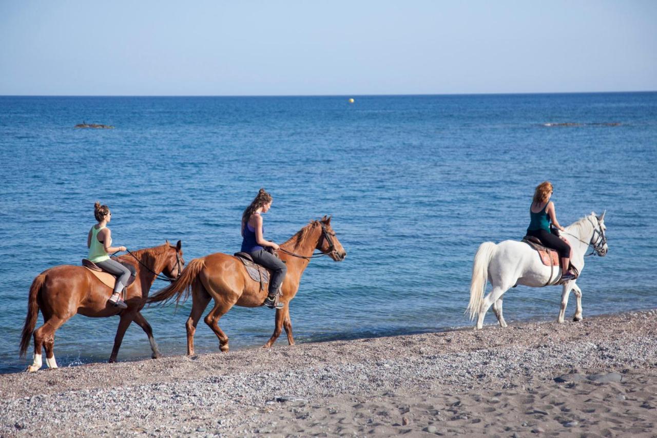 Voula * Faliraki